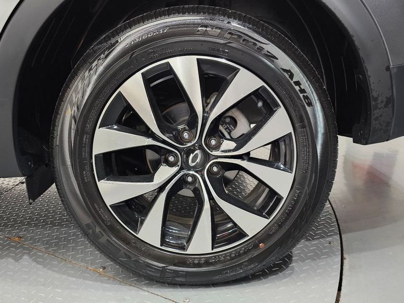 Image 20