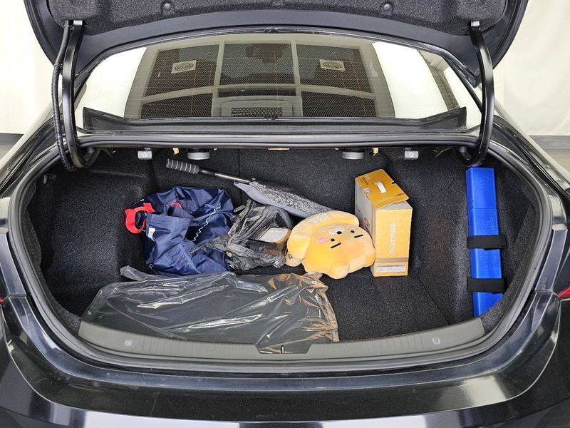 Image 19