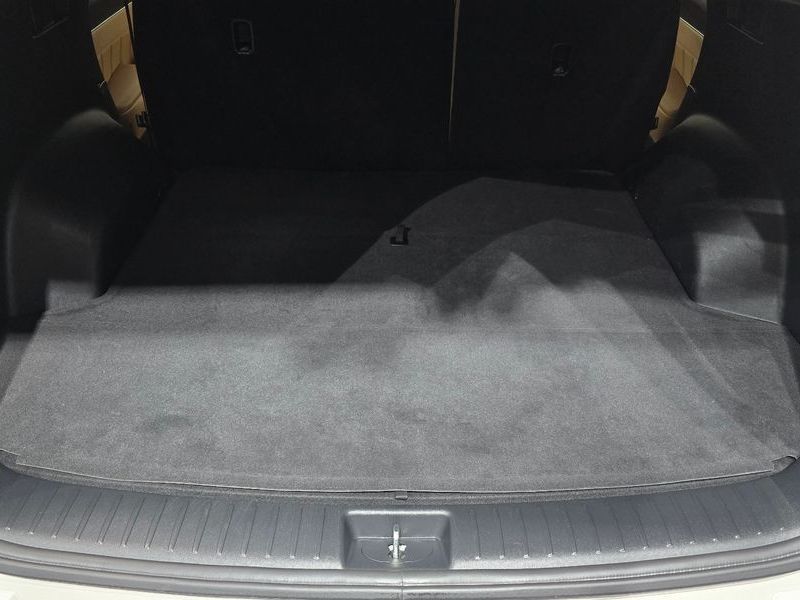 Image 19