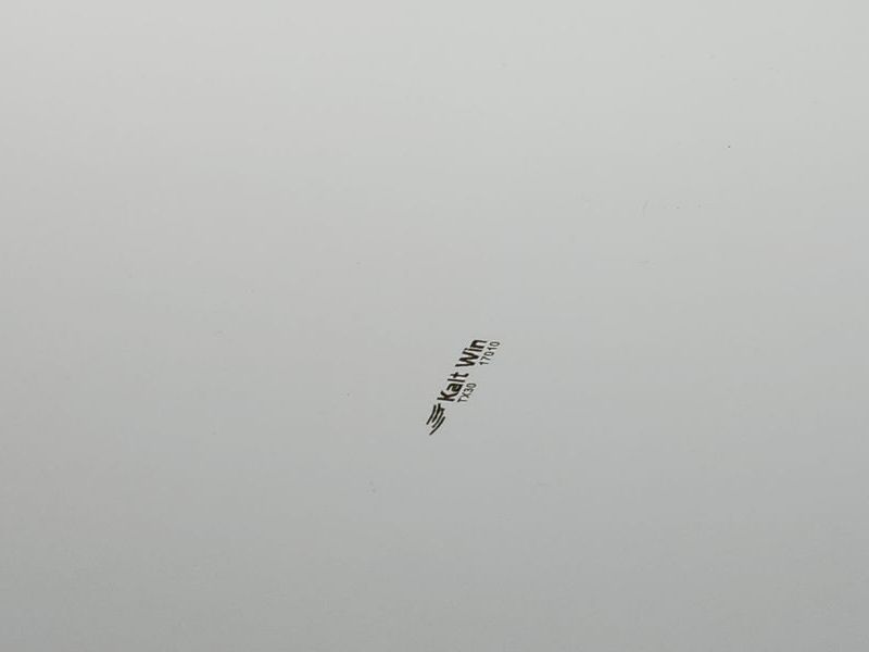 Image 19
