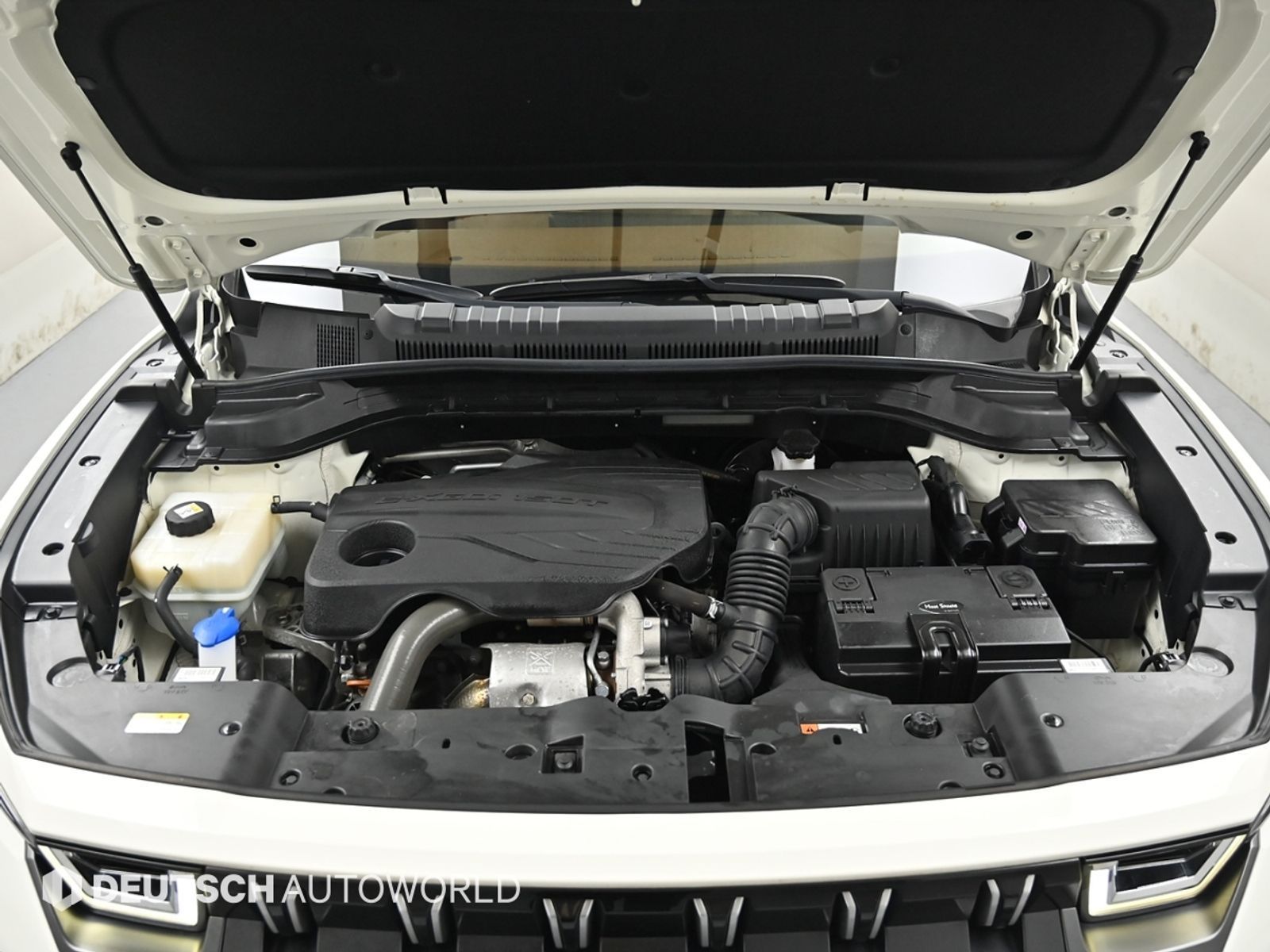 Image 6