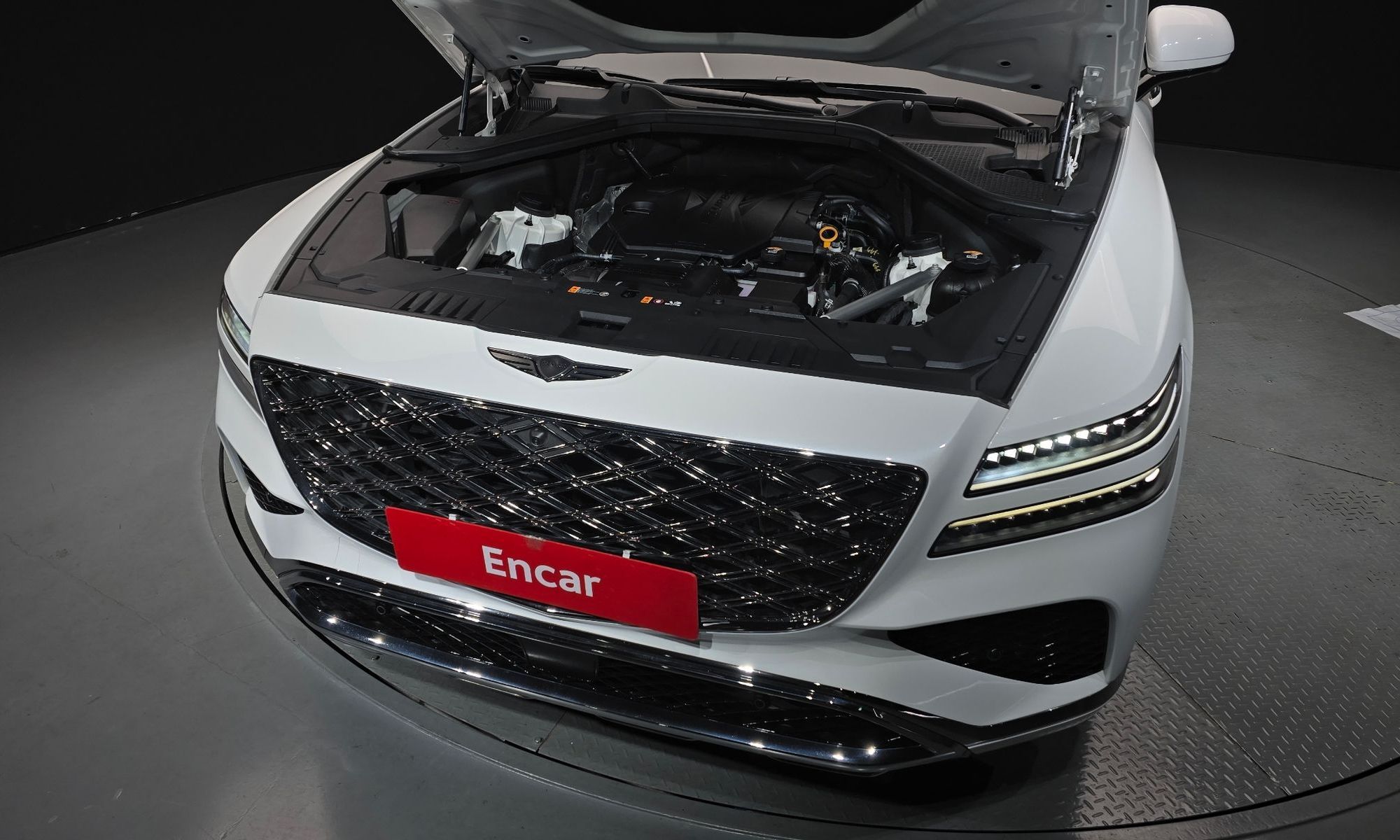 Image 5