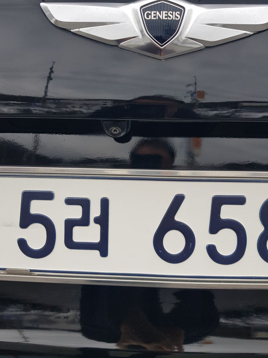 Image 13