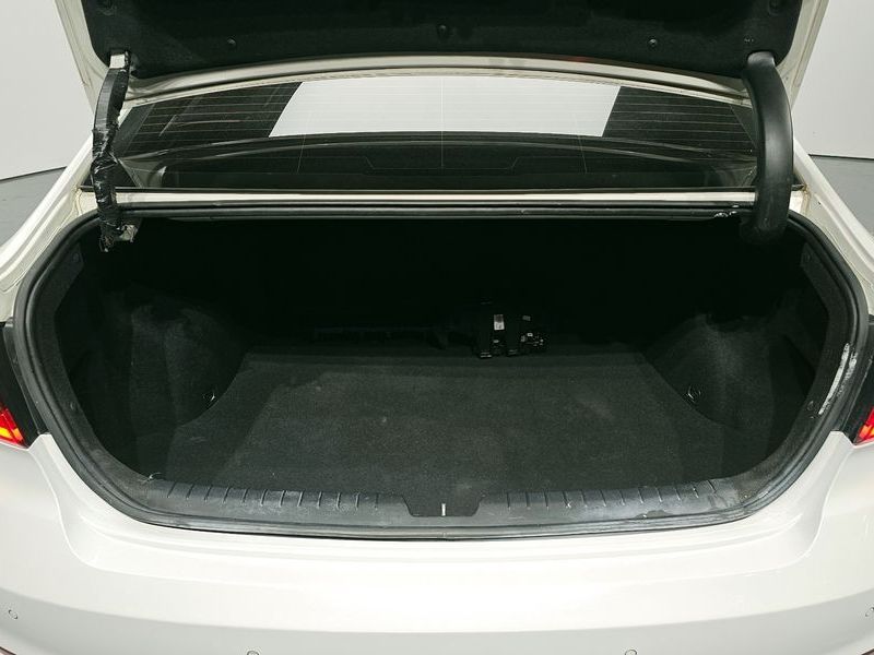 Image 19