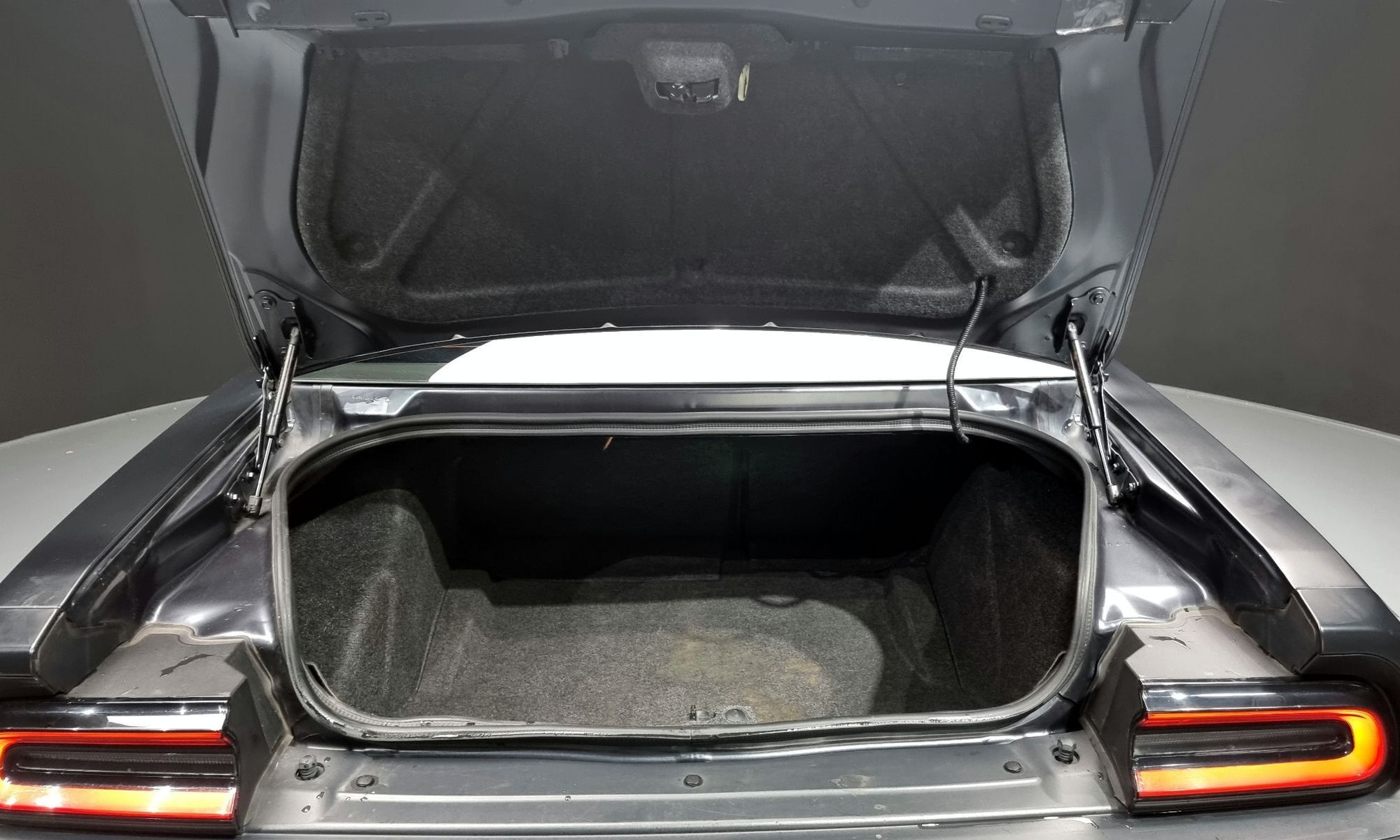 Image 19