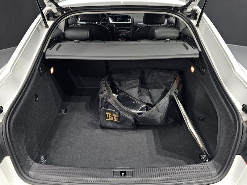 Image 19