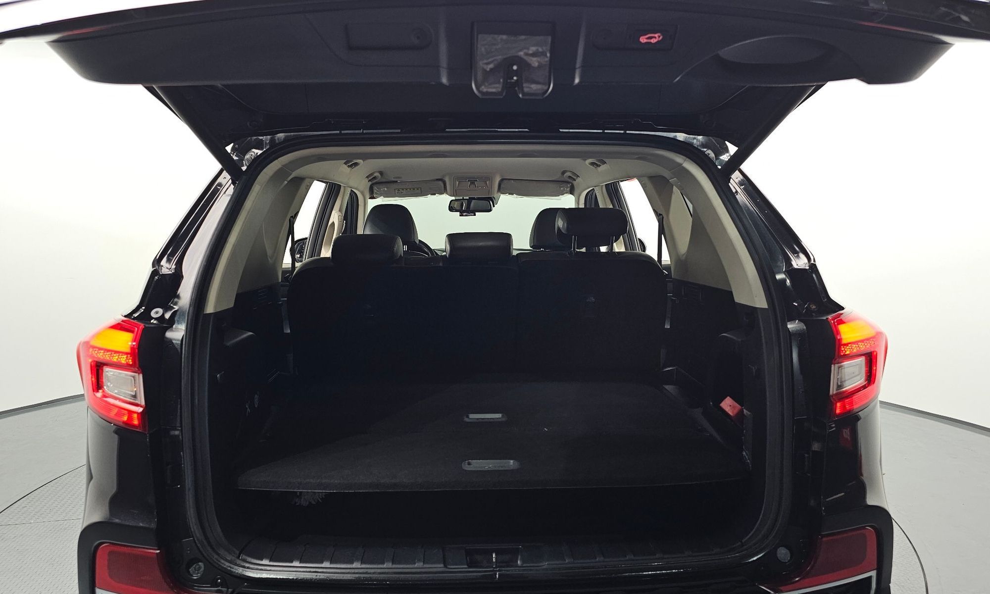 Image 19