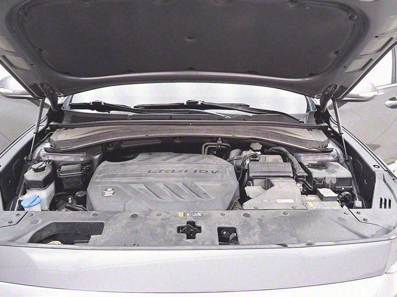 Image 19