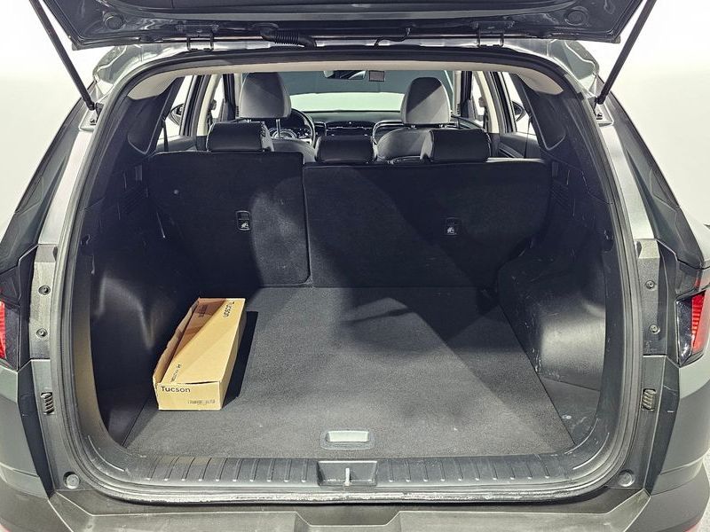Image 19