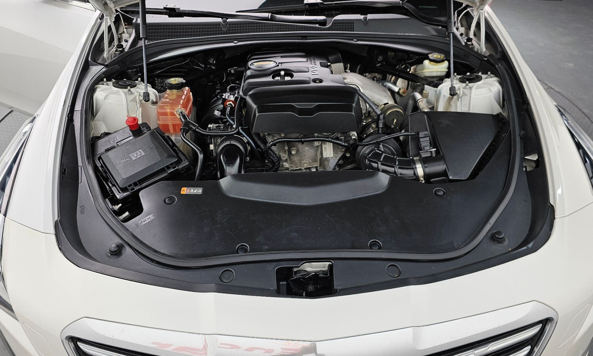 Image 5