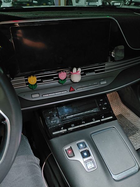 Image 10
