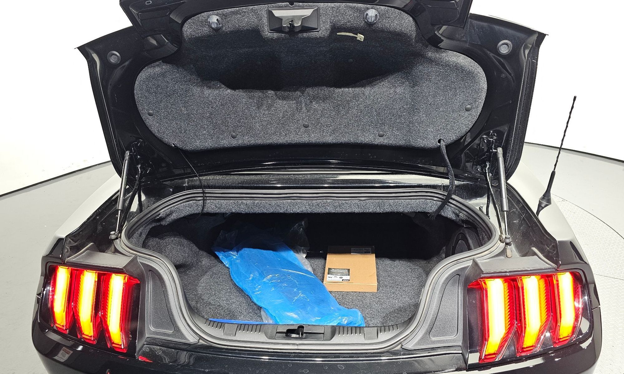 Image 19