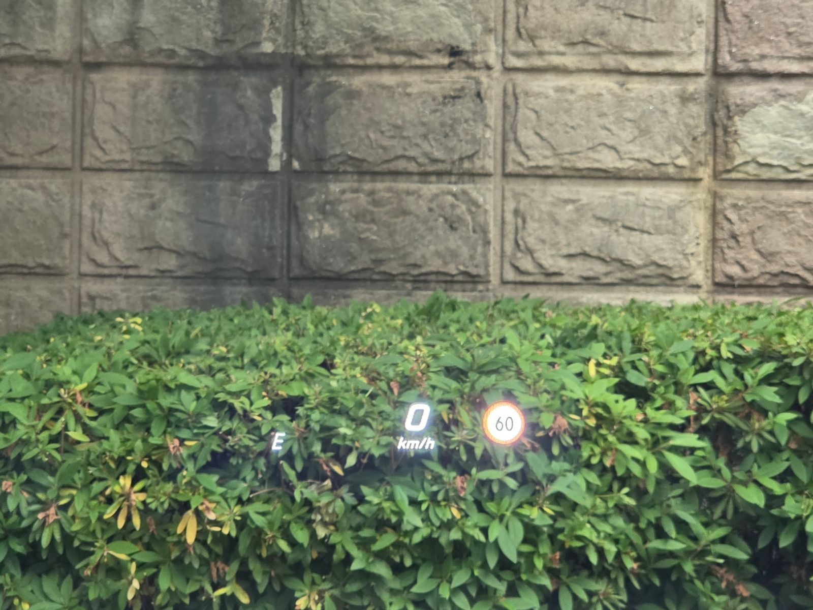 Image 17