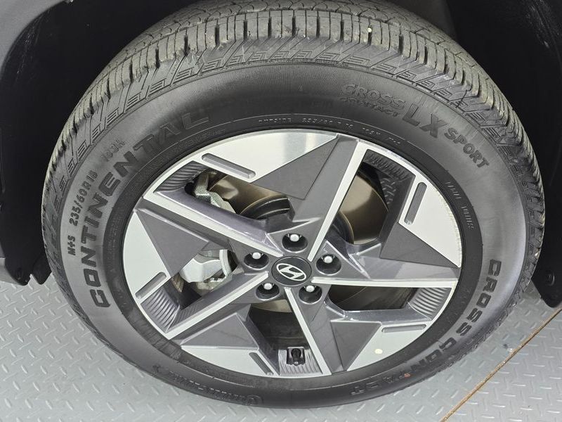 Image 4