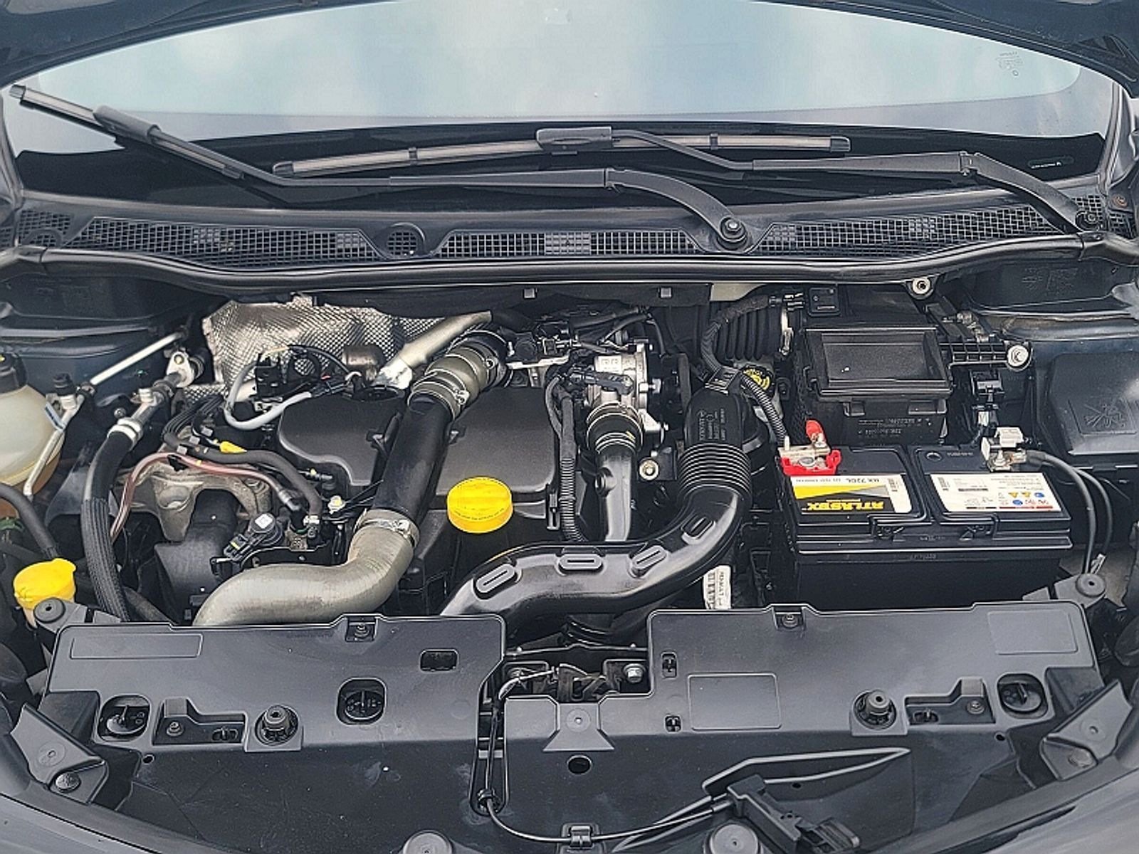Image 7