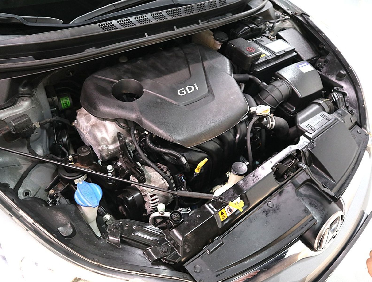 Image 5