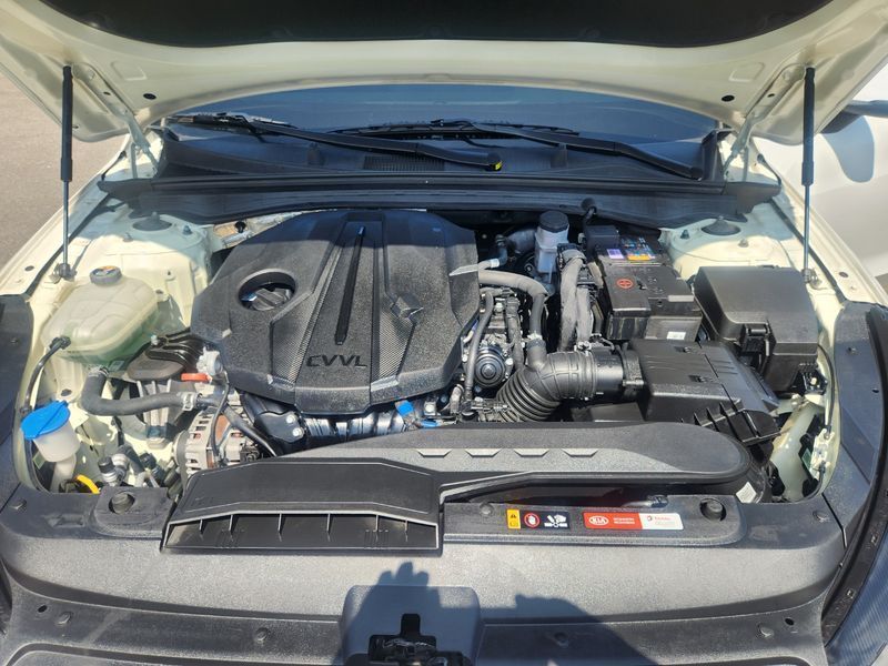 Image 8