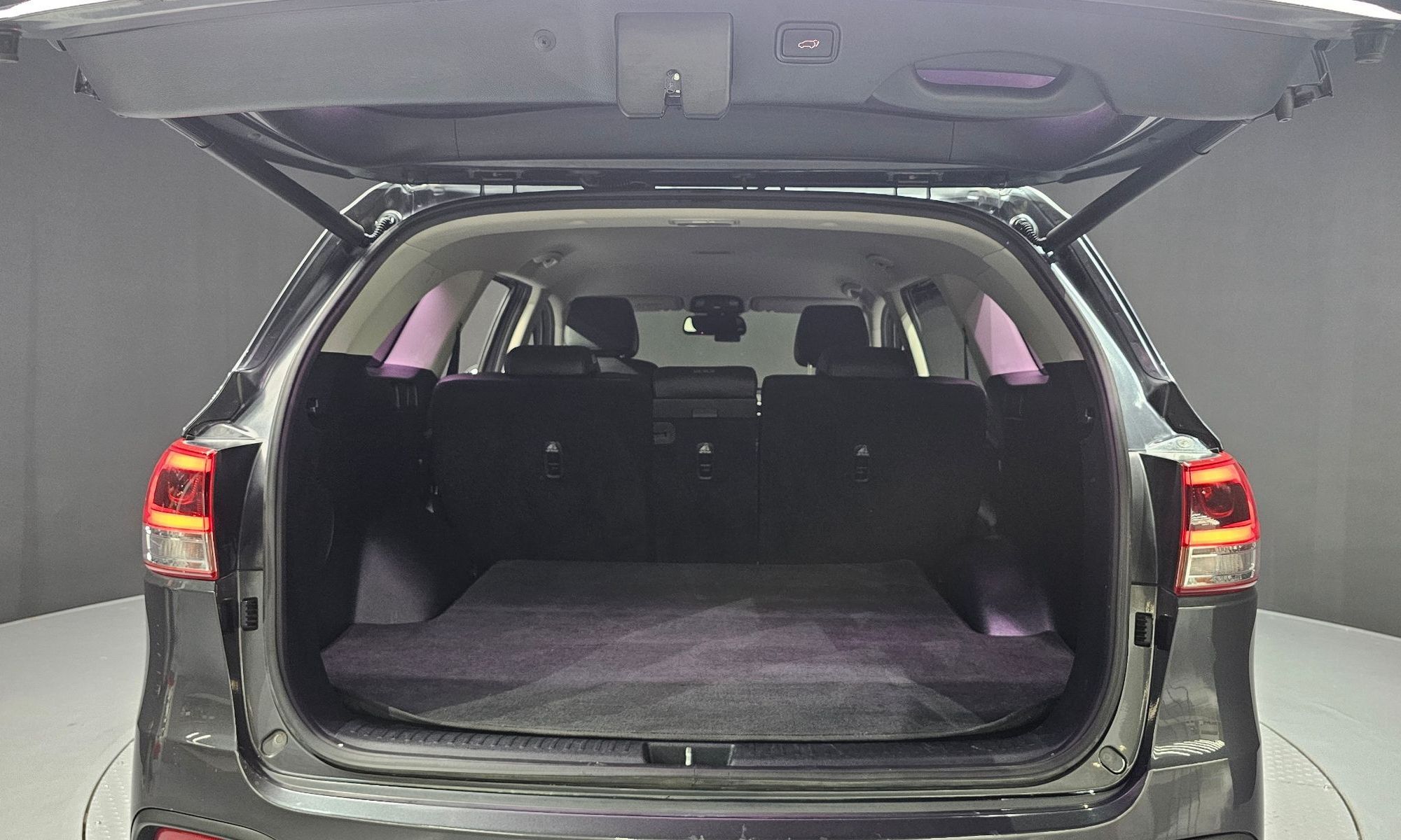 Image 19