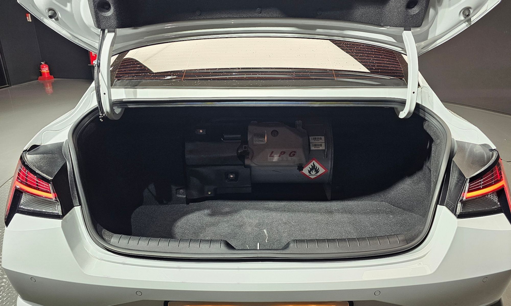 Image 19