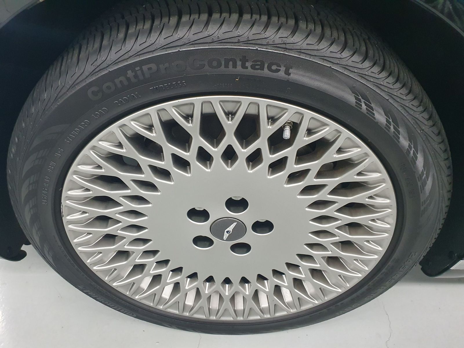 Image 7