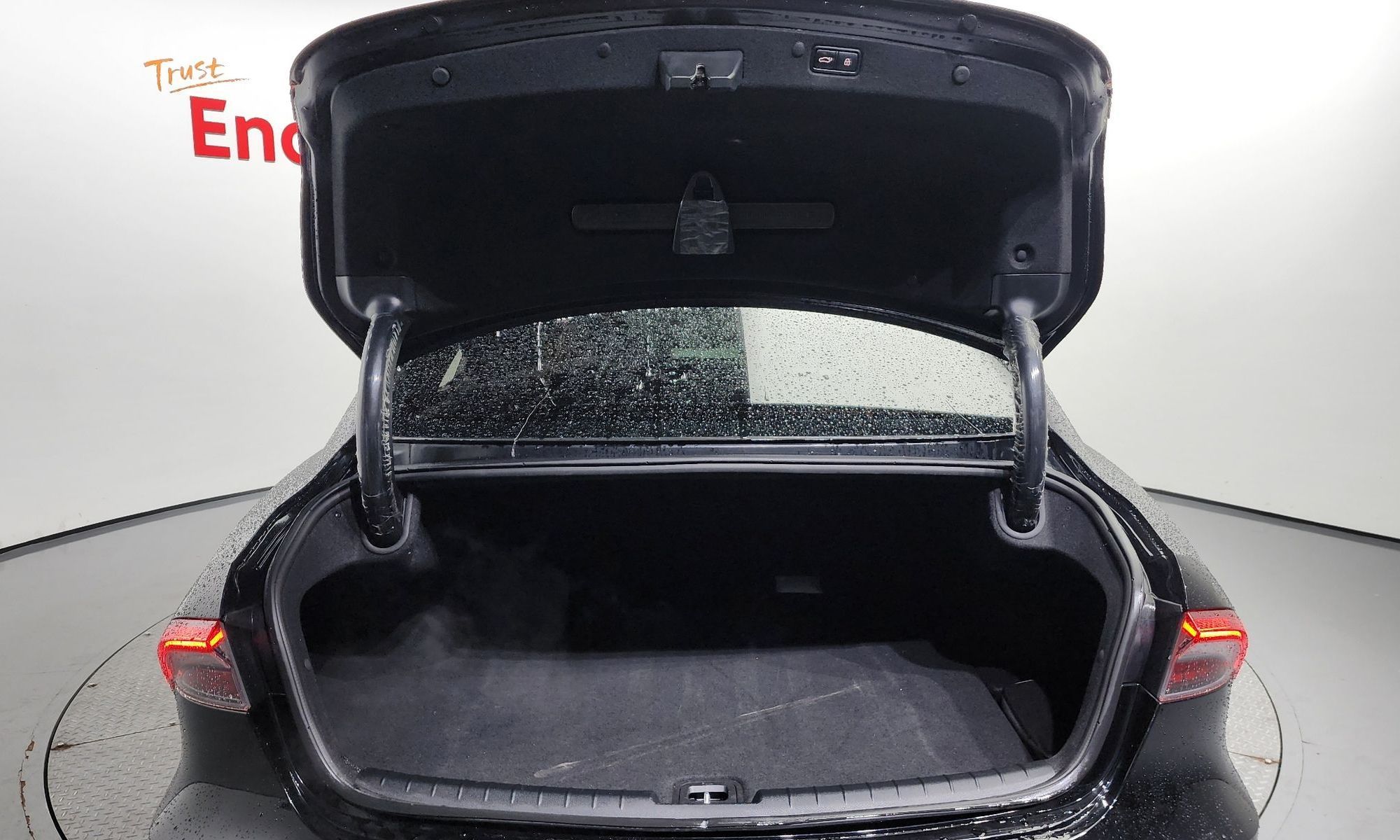 Image 19