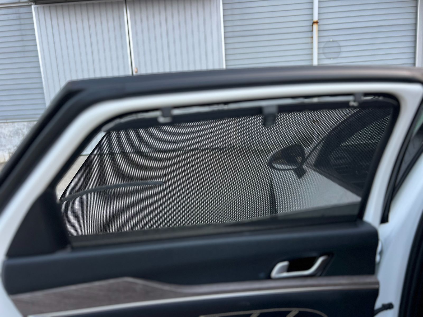 Image 11