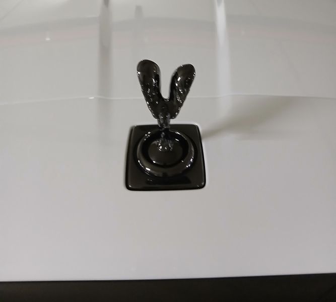 Image 16