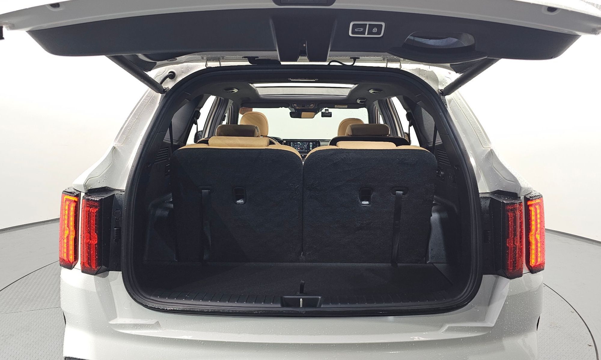 Image 19