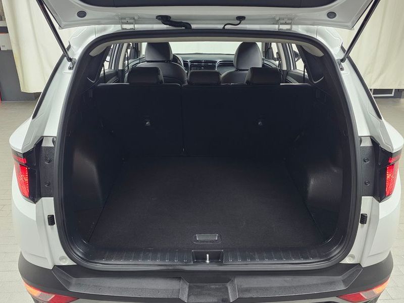 Image 19