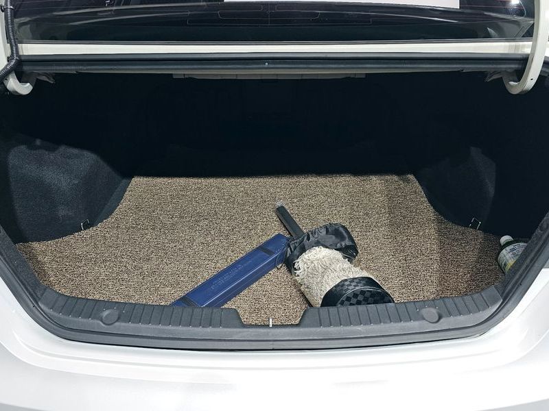 Image 19