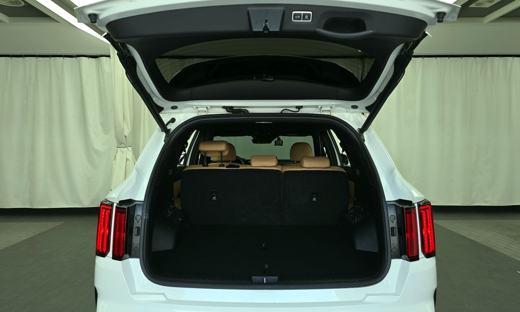Image 19