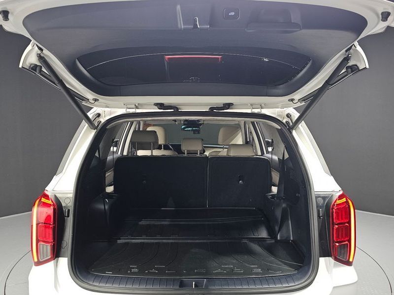 Image 19