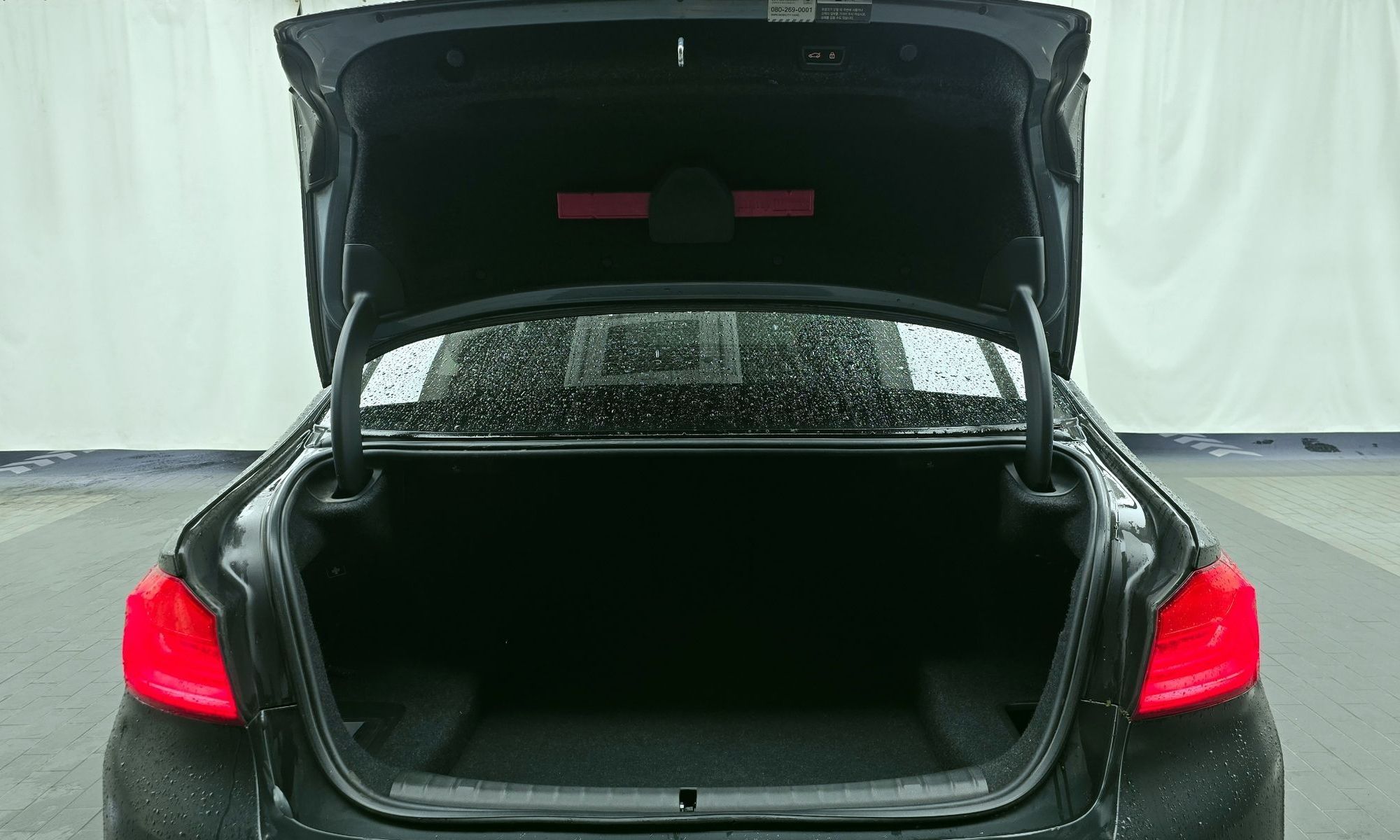 Image 19