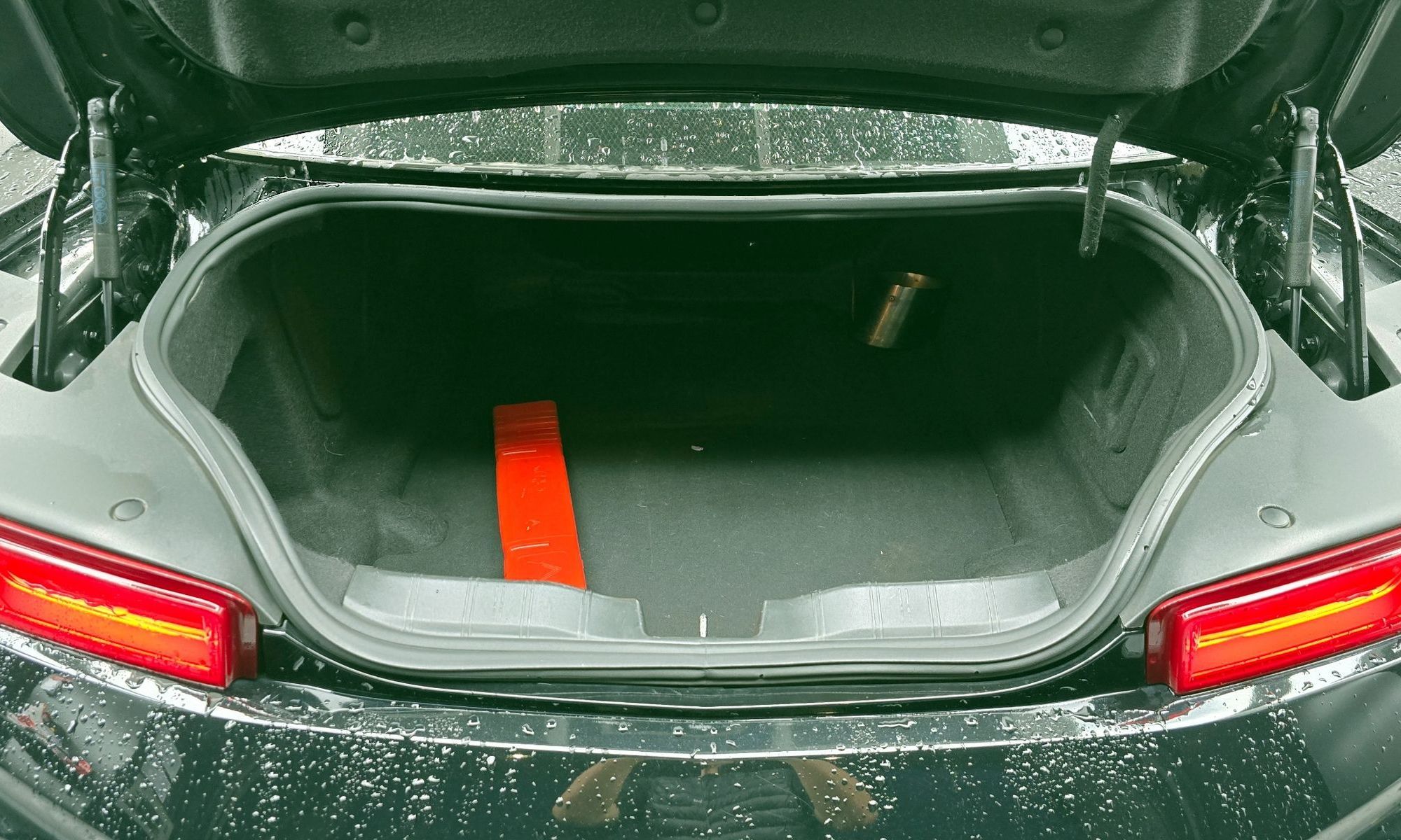 Image 19