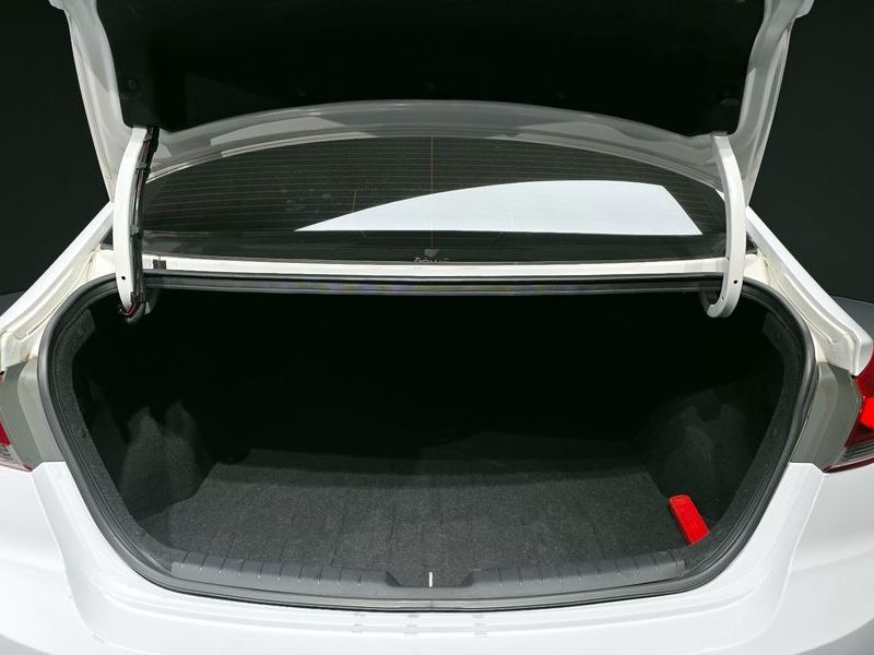 Image 19