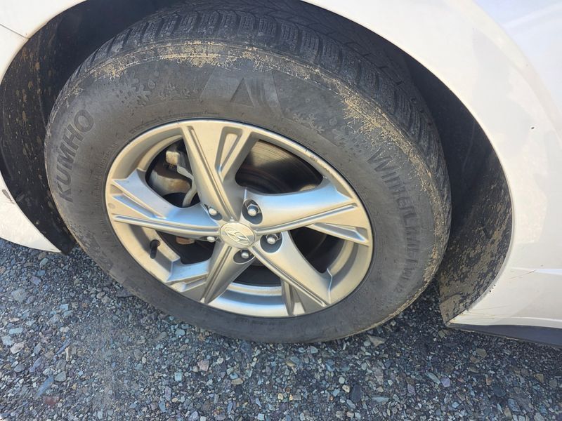Image 8