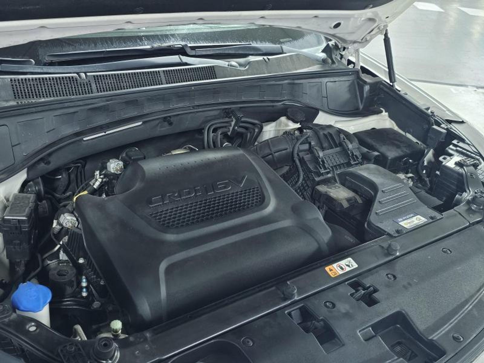 Image 16