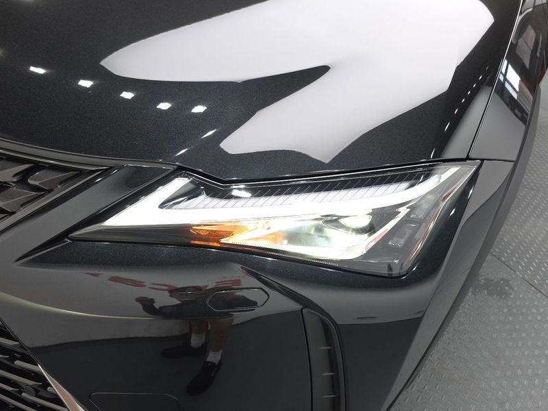Image 21