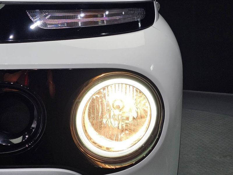 Image 21