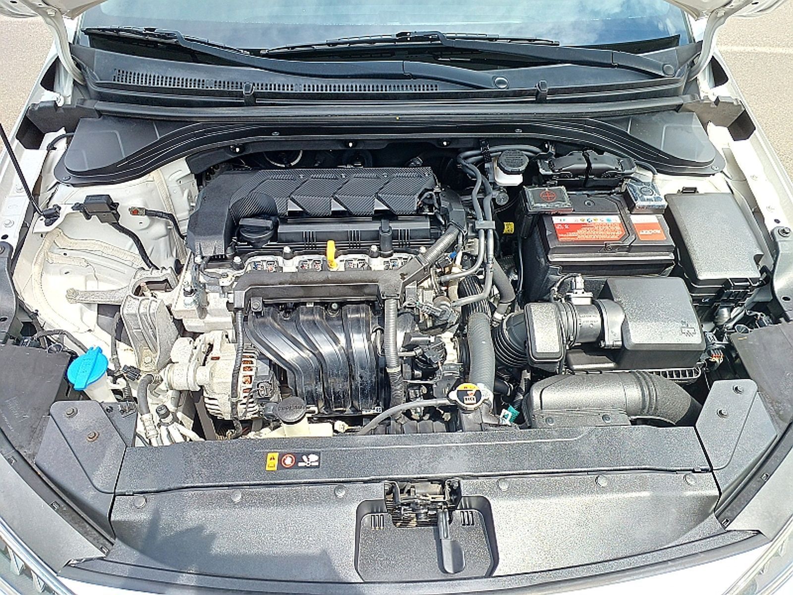 Image 7
