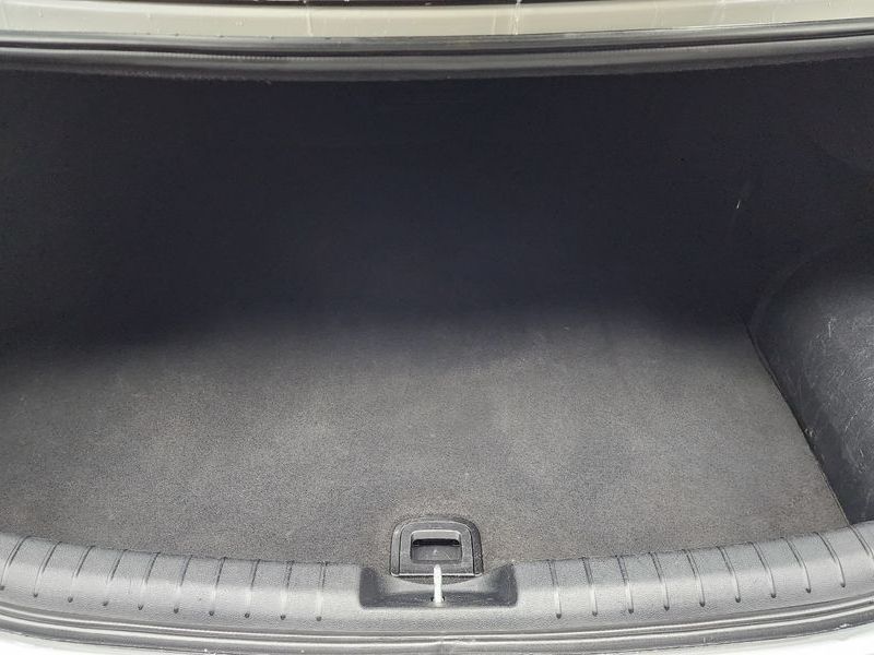 Image 19
