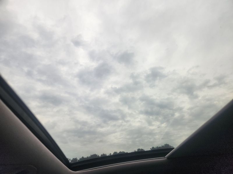 Image 14
