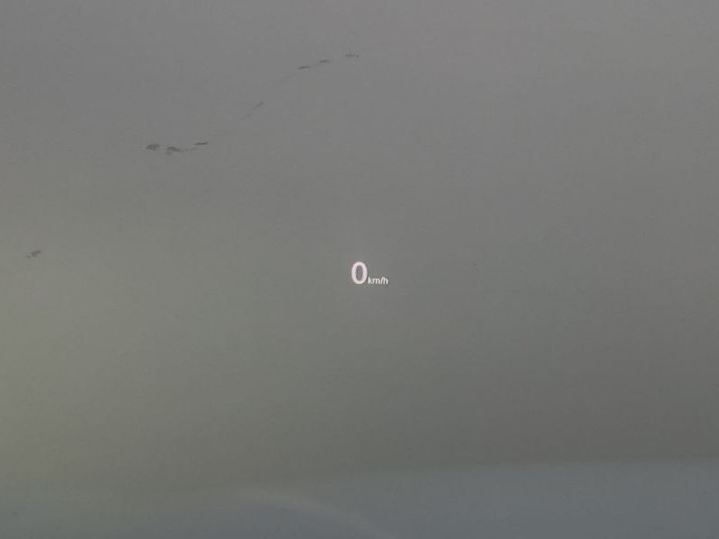 Image 16