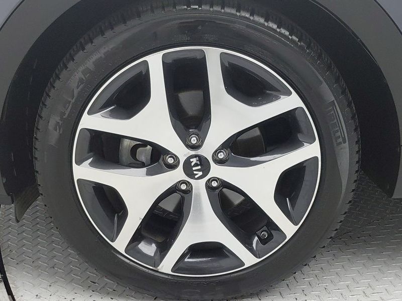 Image 6