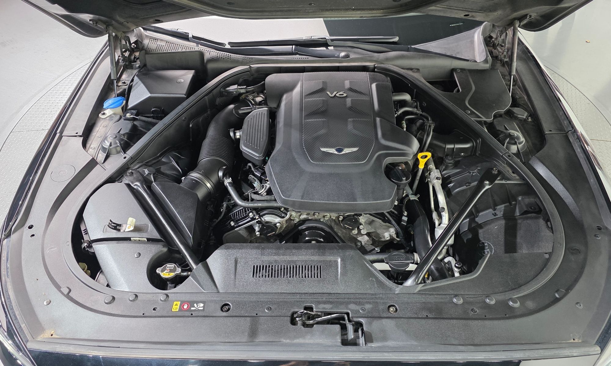 Image 5