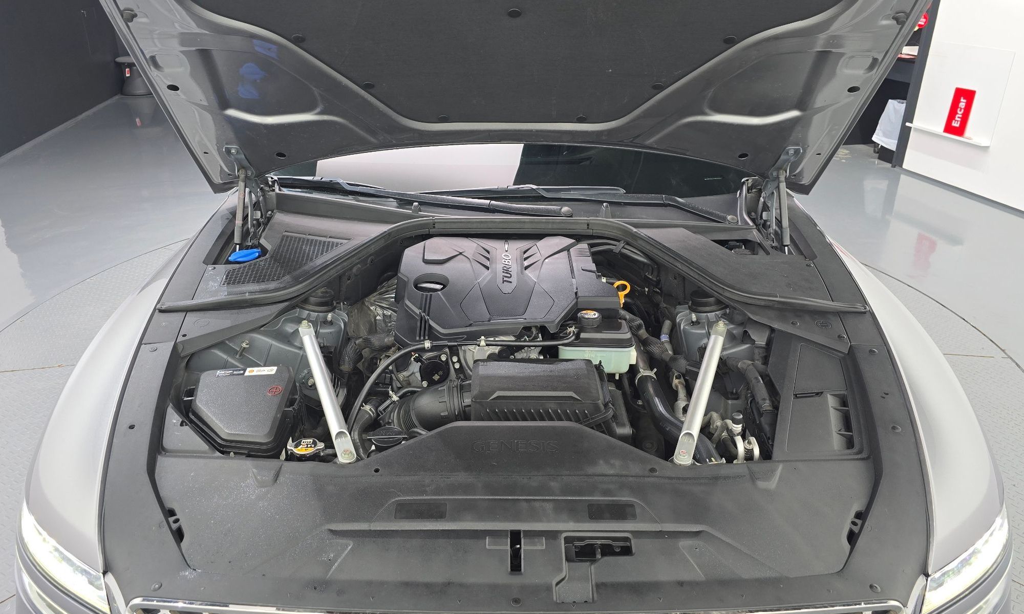 Image 5