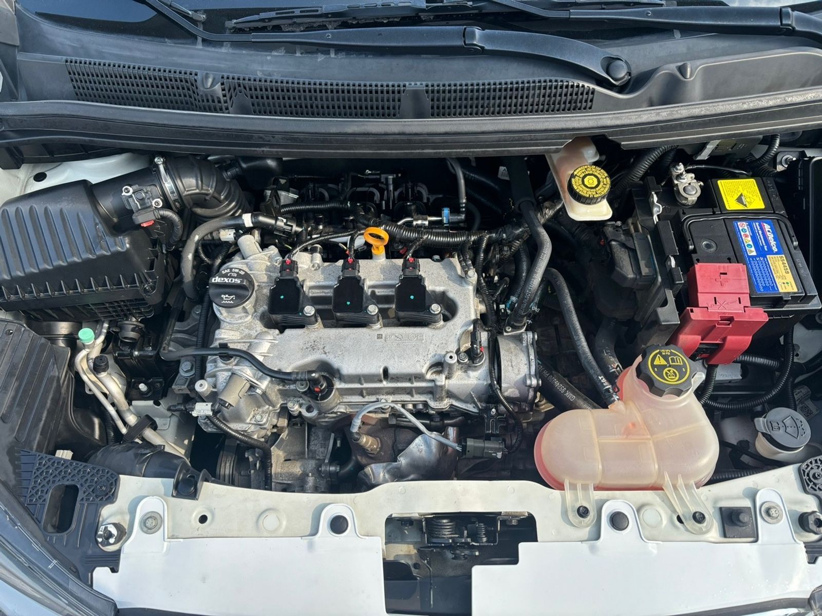 Image 5