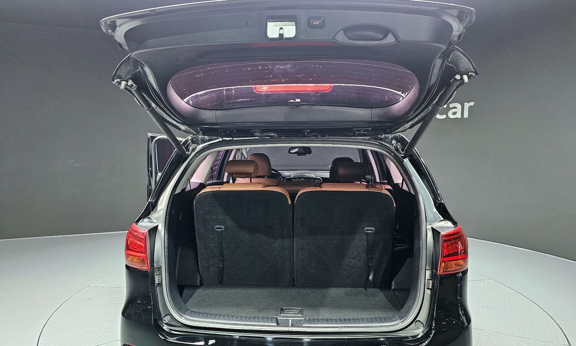 Image 19