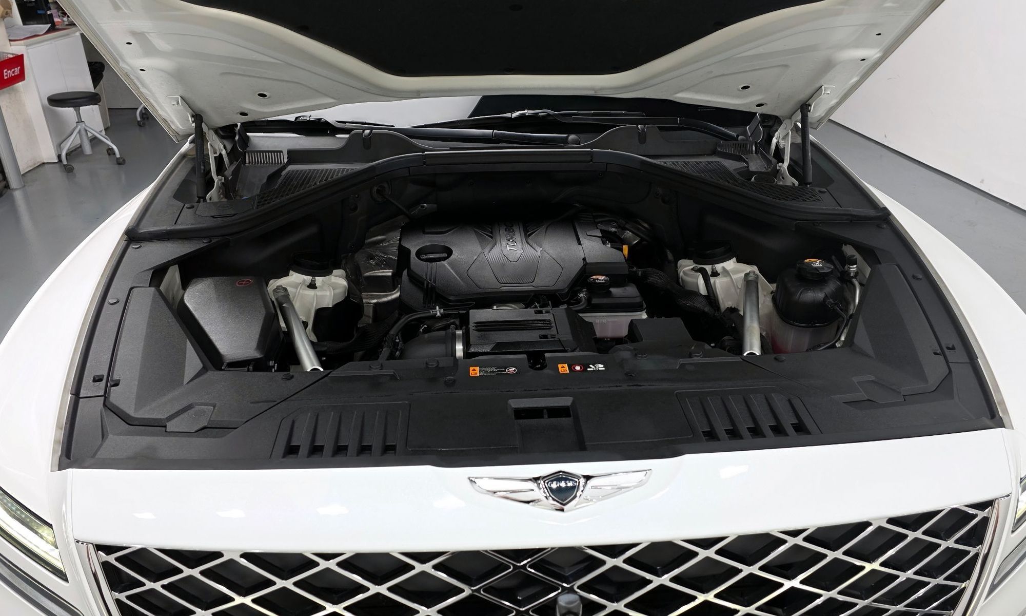 Image 5