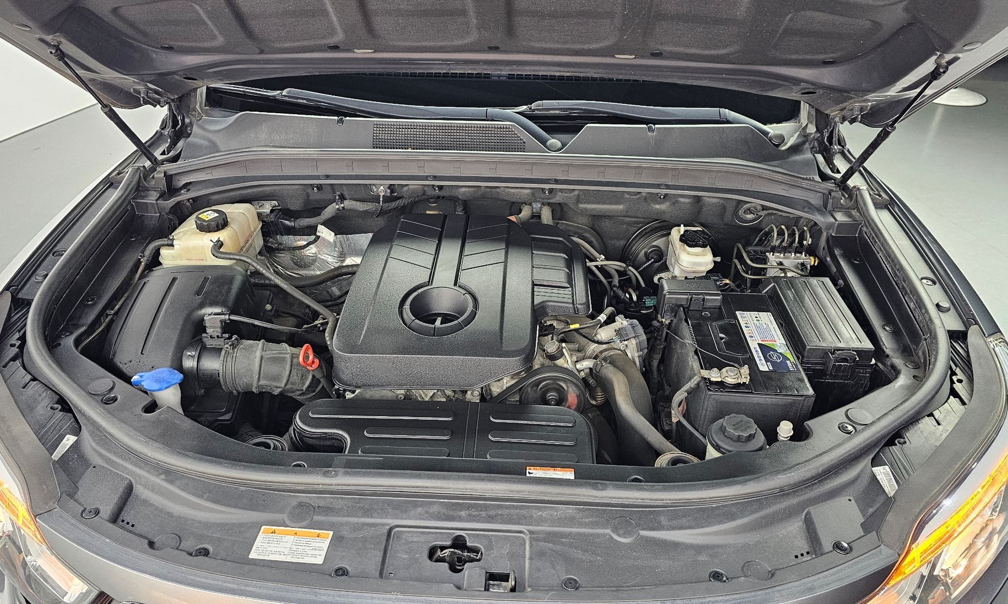 Image 5